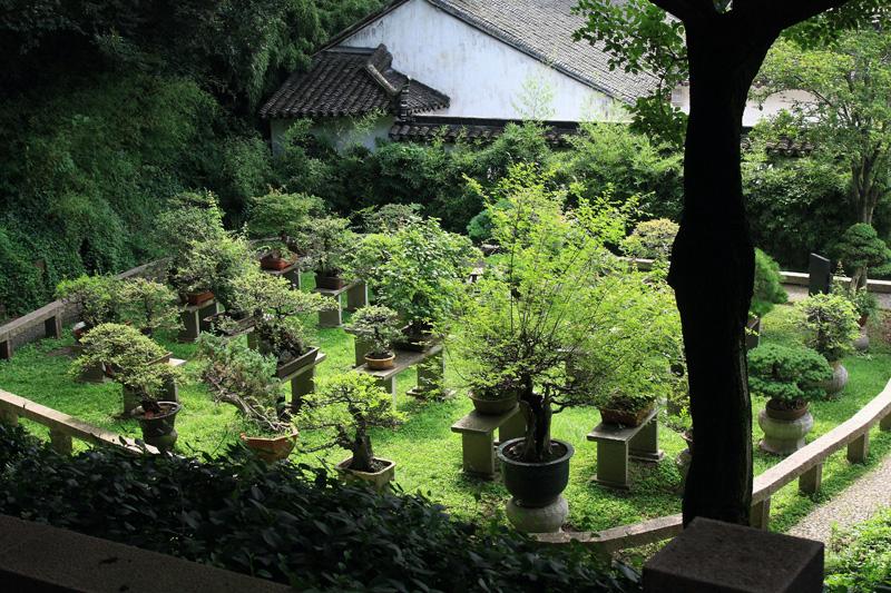 886-Suzhou,19 luglio 2014.JPG